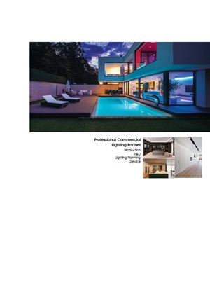 2025 LED基礎照明型錄